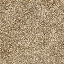 Ковролин Radici Lord Beige 126A  | FLOORDEALER